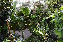 Paesaggio tropicale / PhotoSilvana Matozza